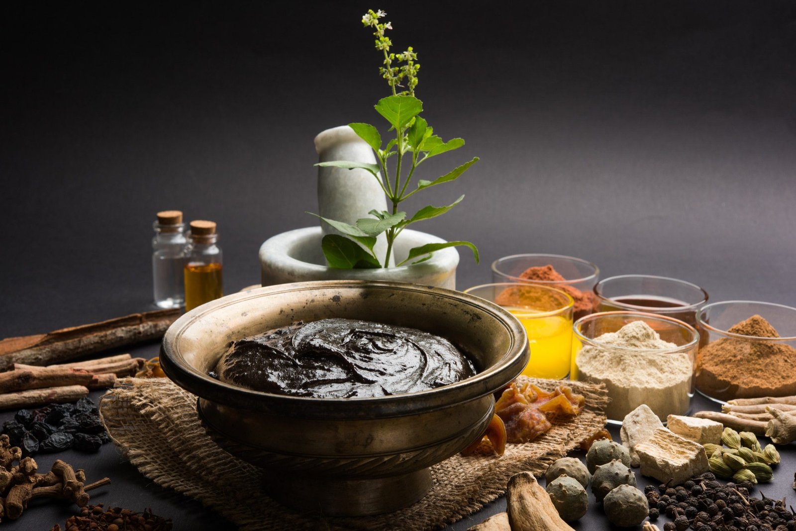 Golden Triangle with Ayurveda