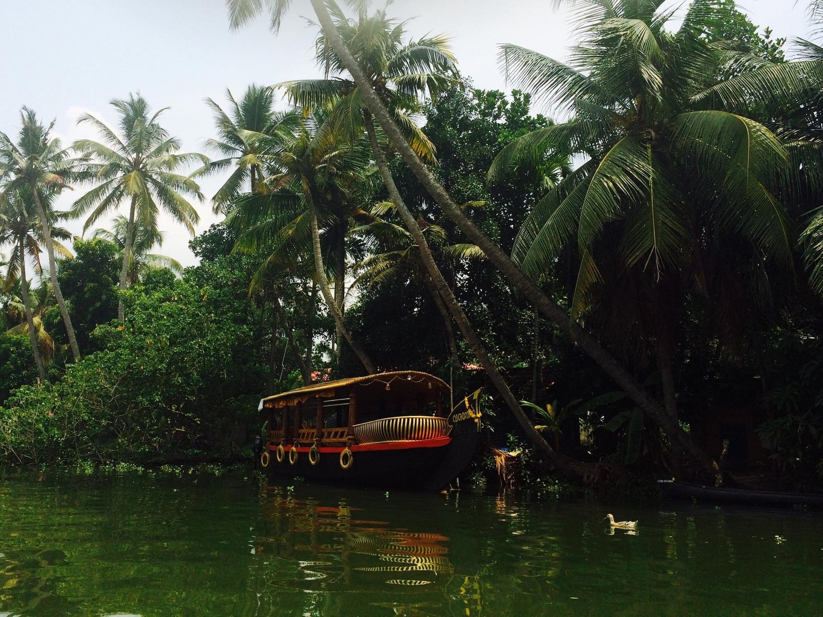 South & Kerala Tour