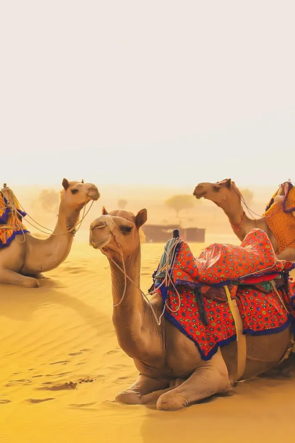 Jaisalmer