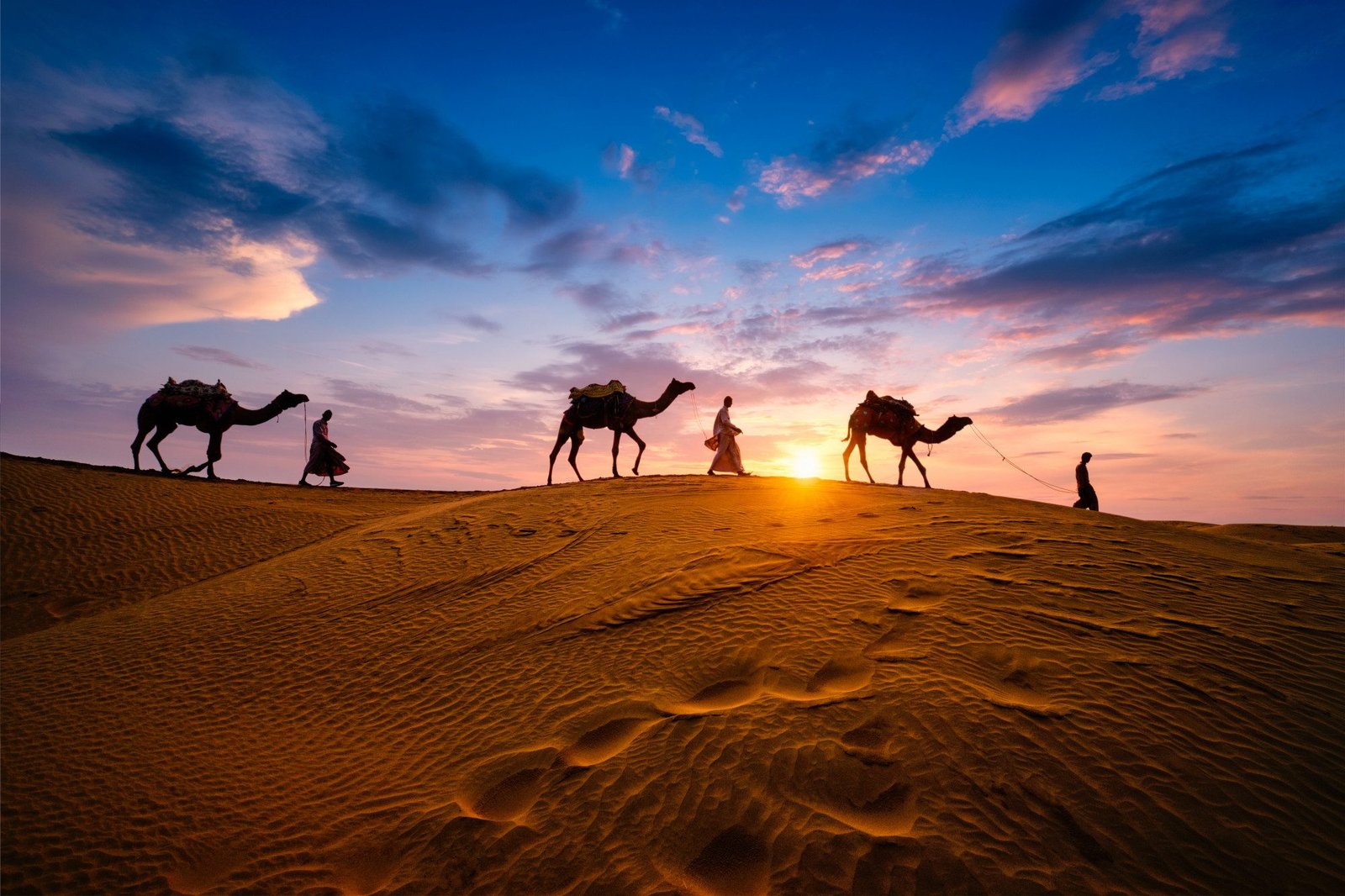 Rajsathan Desert Tour
