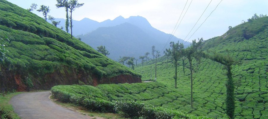 Kochi