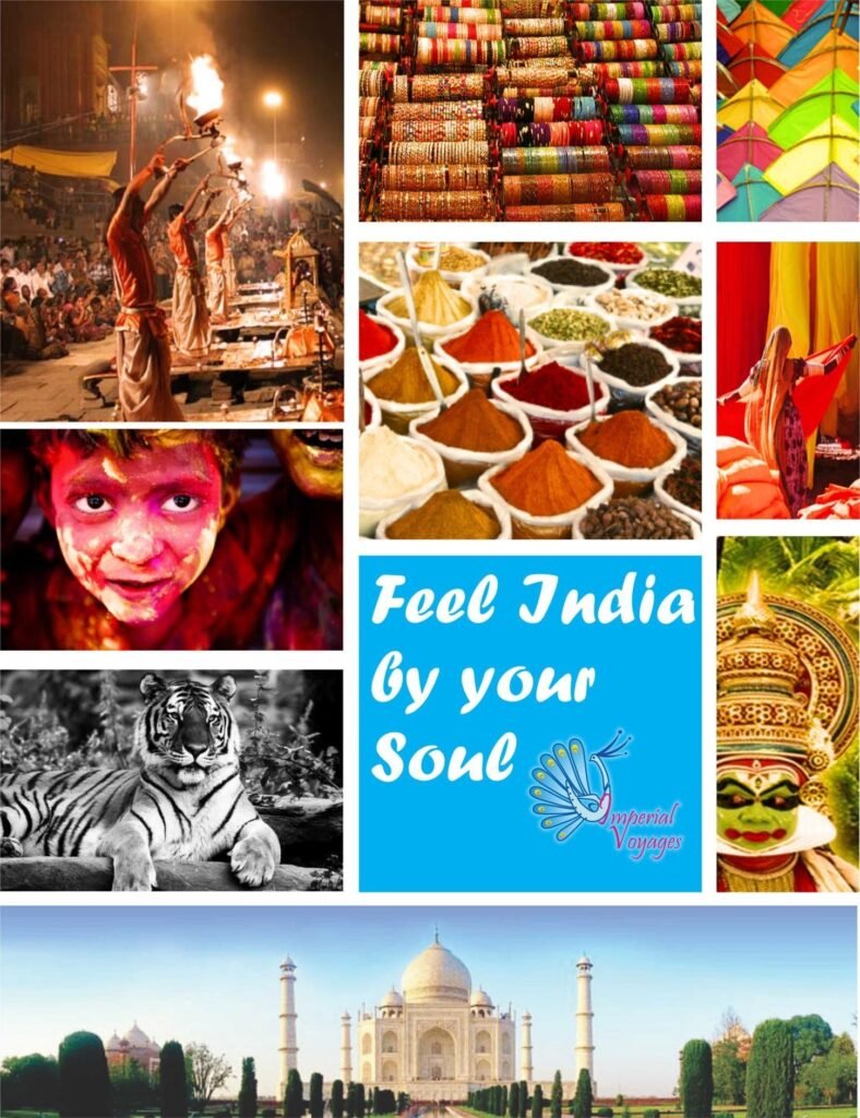 Hola Mohalla Holi Festival 2024